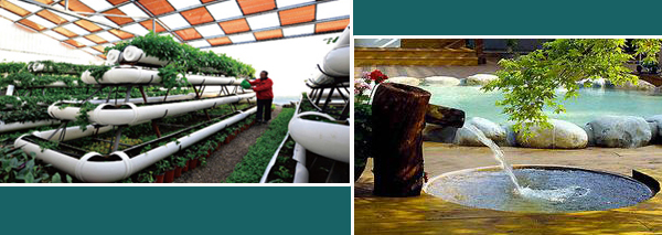 电热带在果园喷淋体系的运用